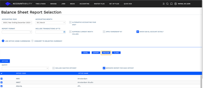 Balance Sheet Report Selection - Preview